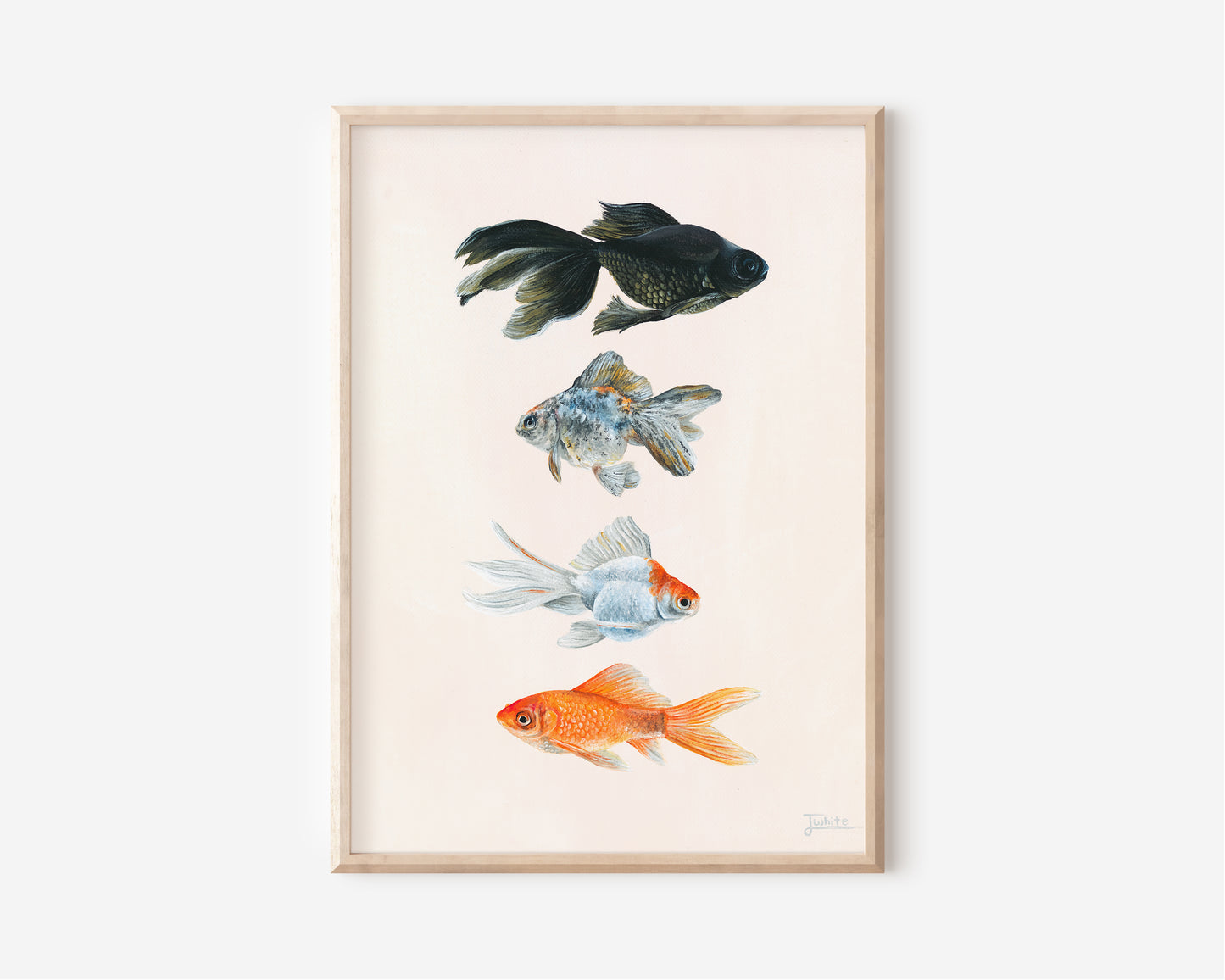 Goldfish - Fine Art Print