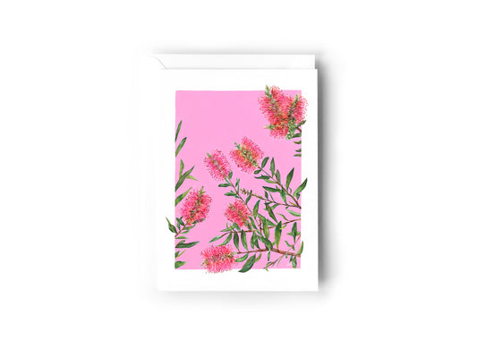 Greeting Card - Pink Bottlebrush
