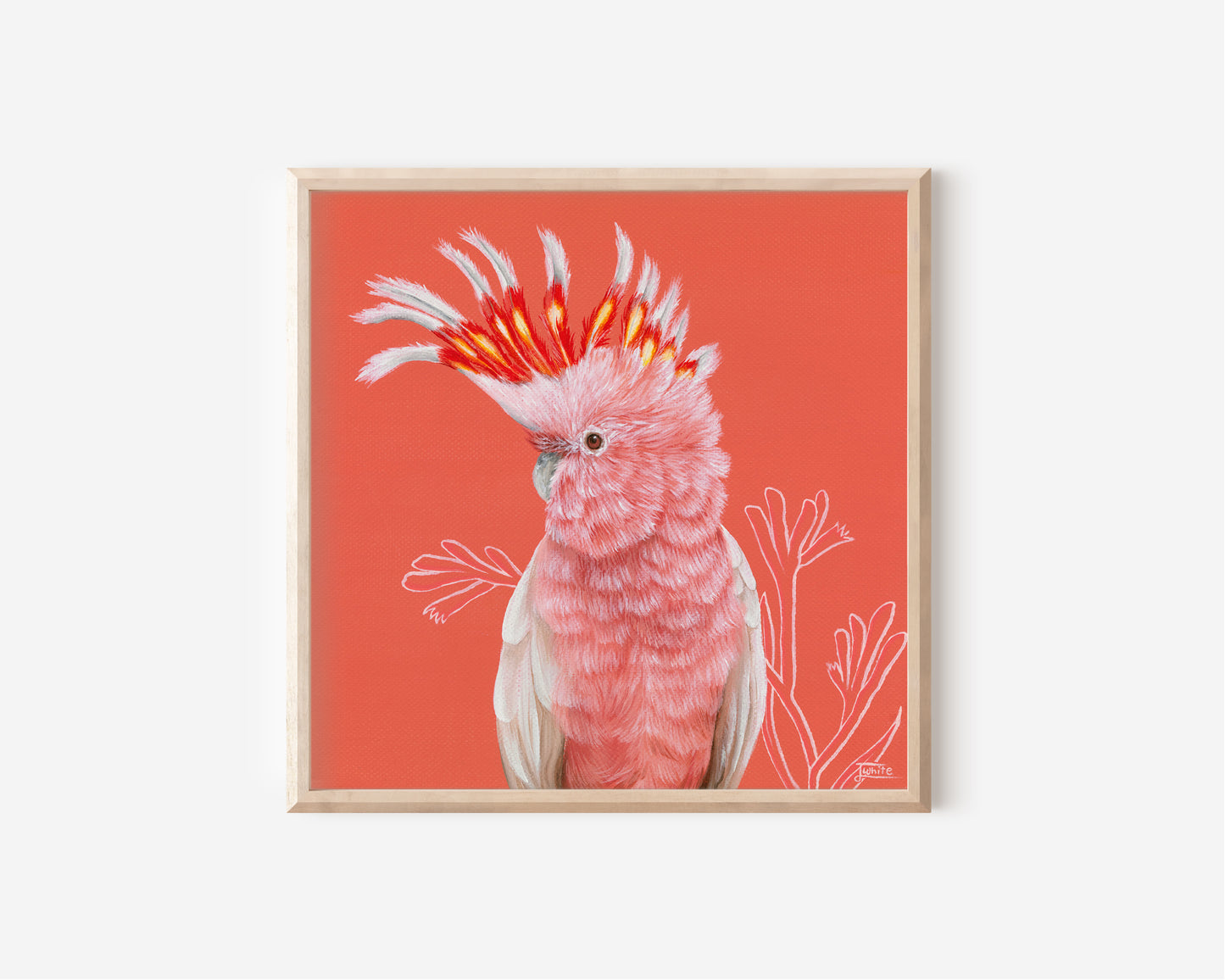 Marigold - 8 x 8 Inch Fine Art Print