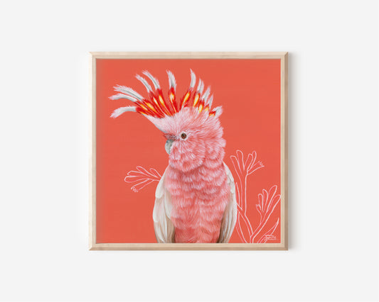 Marigold - 8 x 8 Inch Fine Art Print