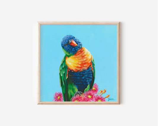 Ollie The Lorrie - 8 x 8 Inch Fine Art Print